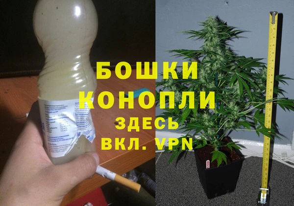 шишки Абинск
