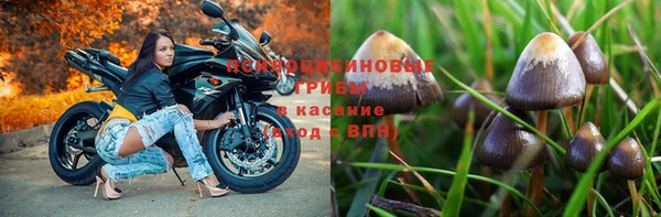 шишки Абинск